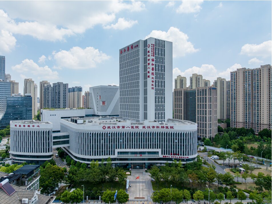武汉市第八医院